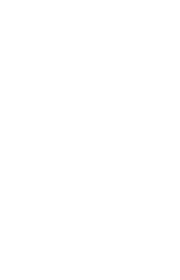 Spice Lemon Corporation