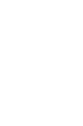 Spice Lemon Corporation